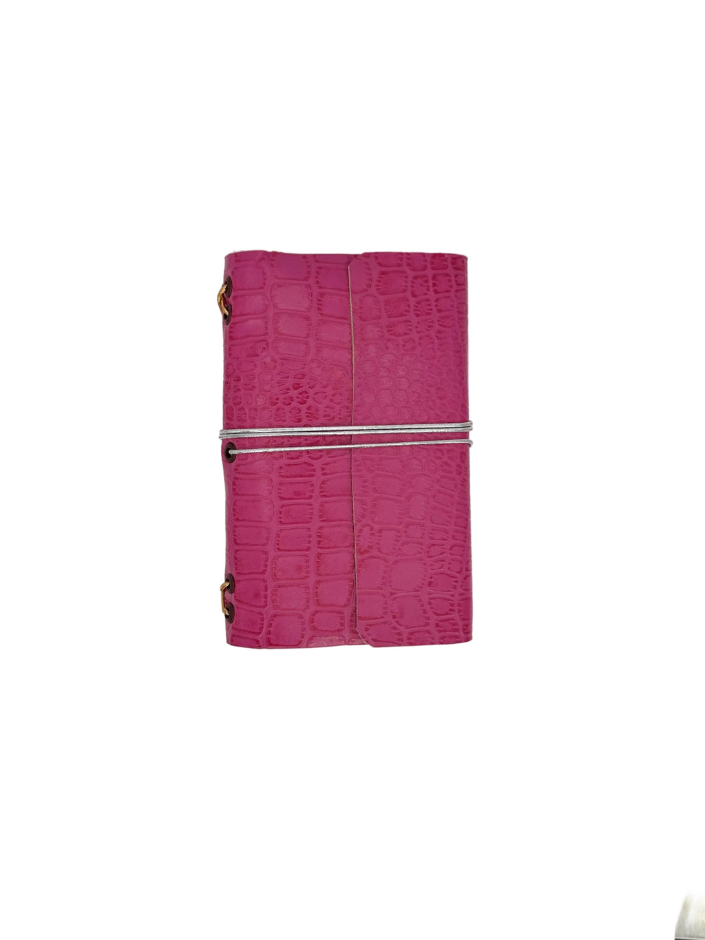 Journal Cocodrilo Rosita