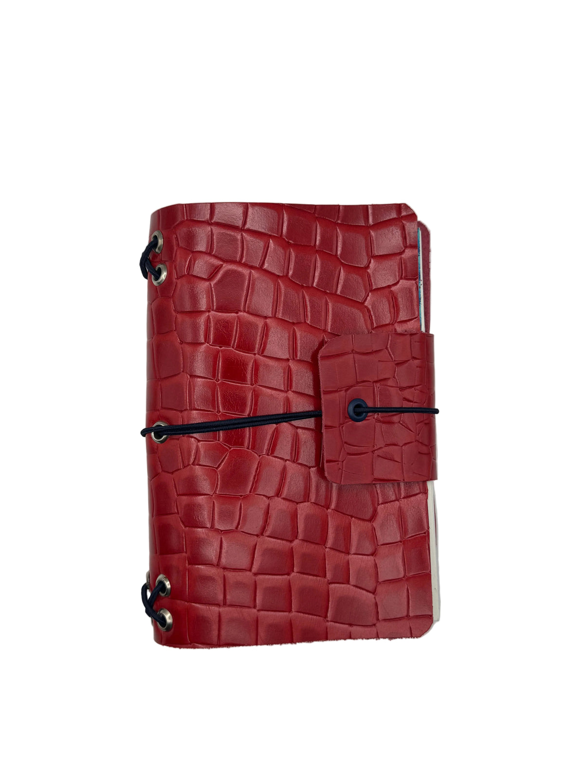 Journal Caiman